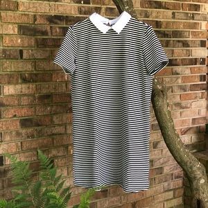 Zara Collar Mini Dress